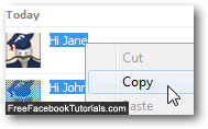 Copy your Facebook chat exchange in your web browser