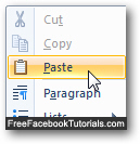 Paste your chat conversation text from Facebook